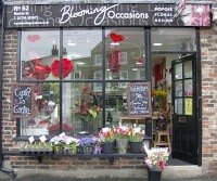 Blooming Occasions 285567 Image 2